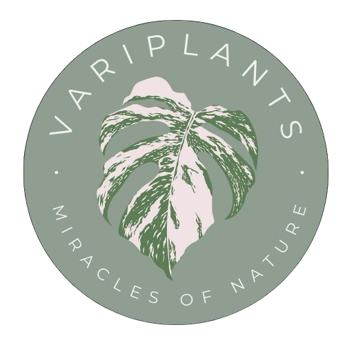 Variplants Shop